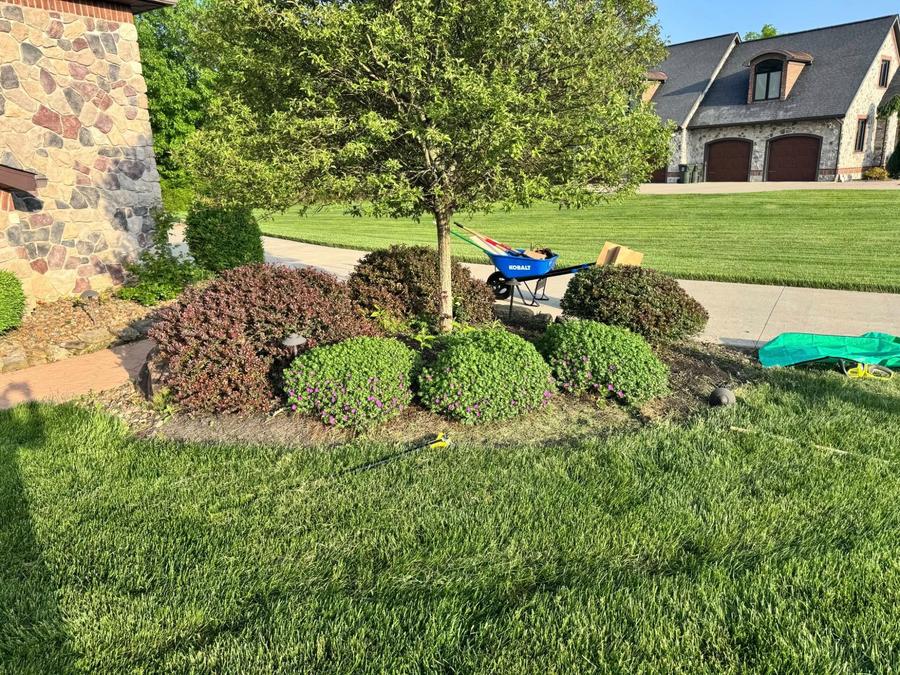 Bush trimming and mulch bed maintenance