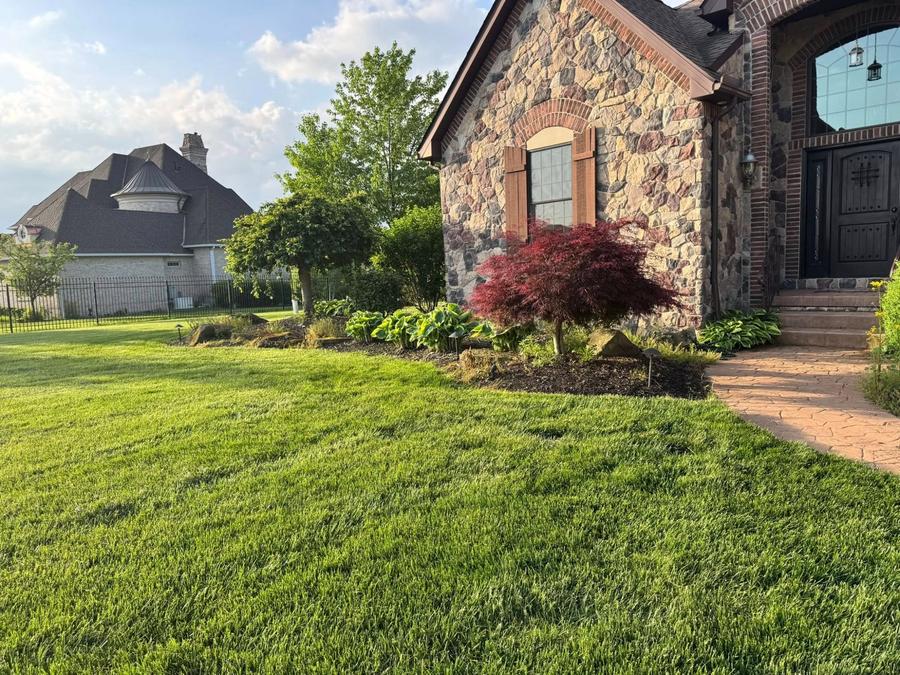 Japanese maple and hosta garden with stone facade